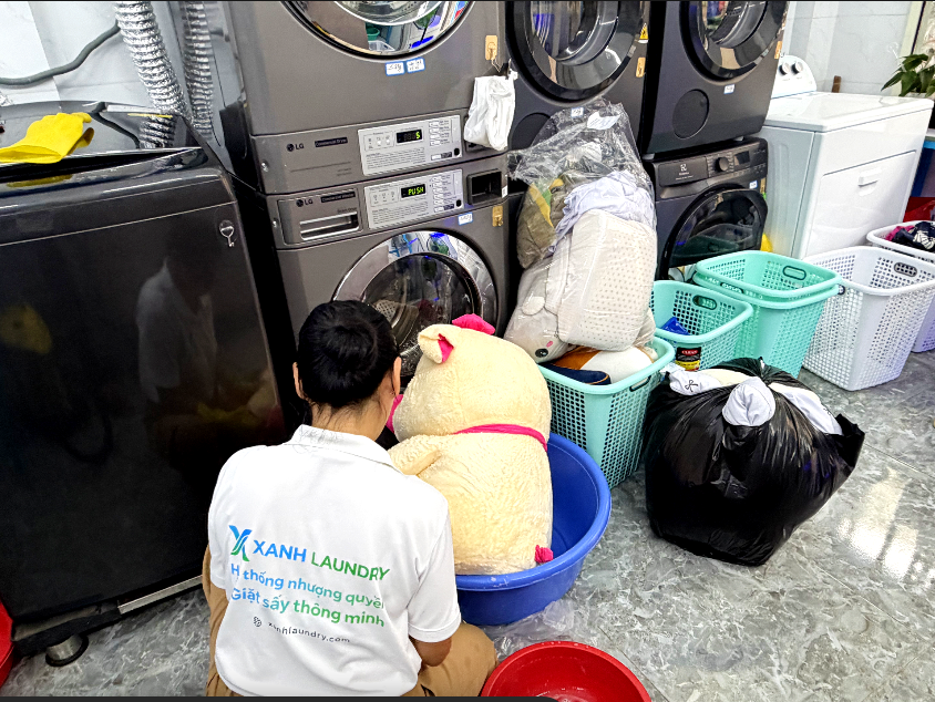 Gấu bông sau khi giặt sấy tại tiệm giặt ủi